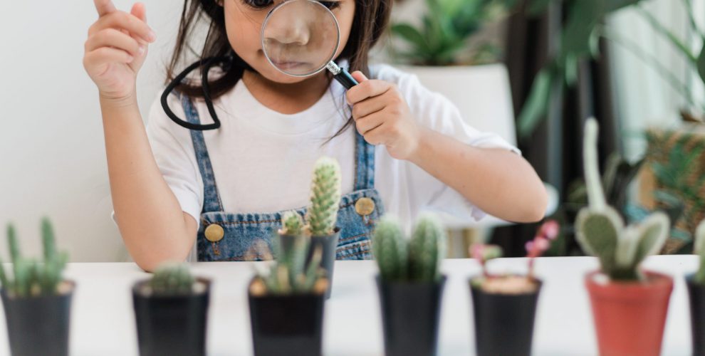 Kid,Gently,Touches,The,New,Stem,Of,The,Cactus,He